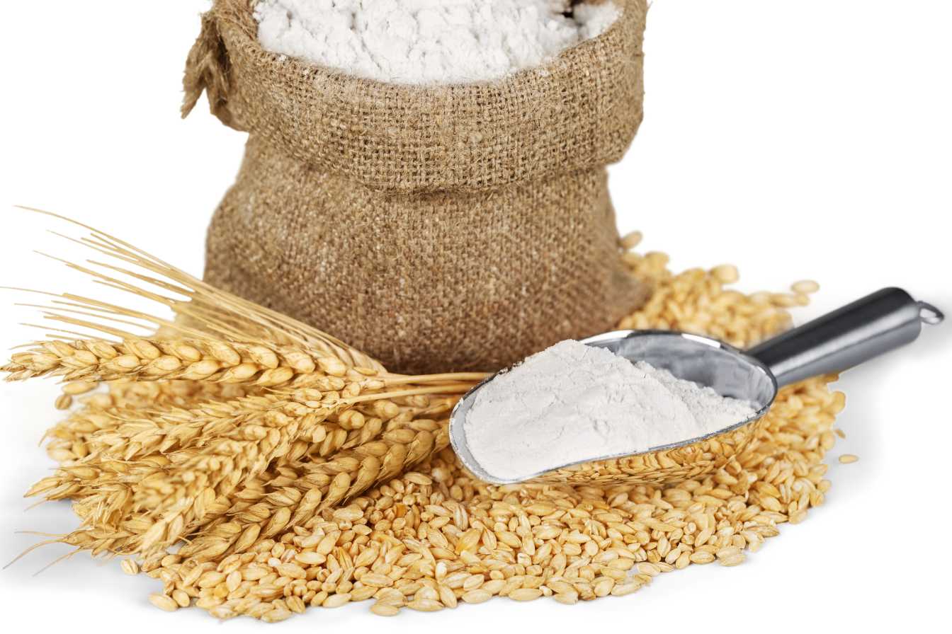 difference farine ble dur et farine ble tendre 1