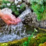 eau castalie 1