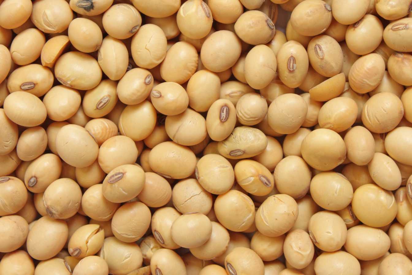 lait-de-soja-bienfaits-2