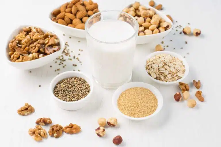 par quoi remplacer le lait 1