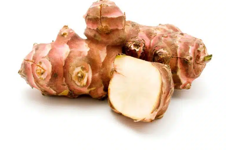 tomate topinambour 1